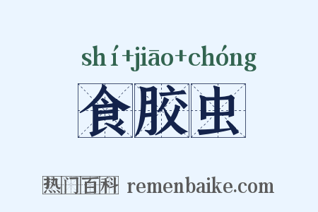 食胶虫是什么意思的图片